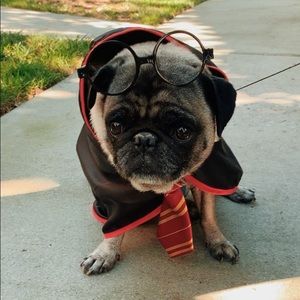 Harry Potter Cape Dog Costume, Size Large.